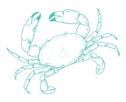 crab element
