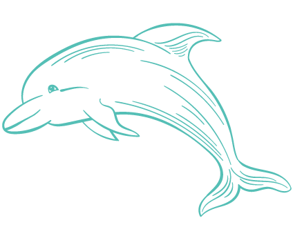 dolphin element
