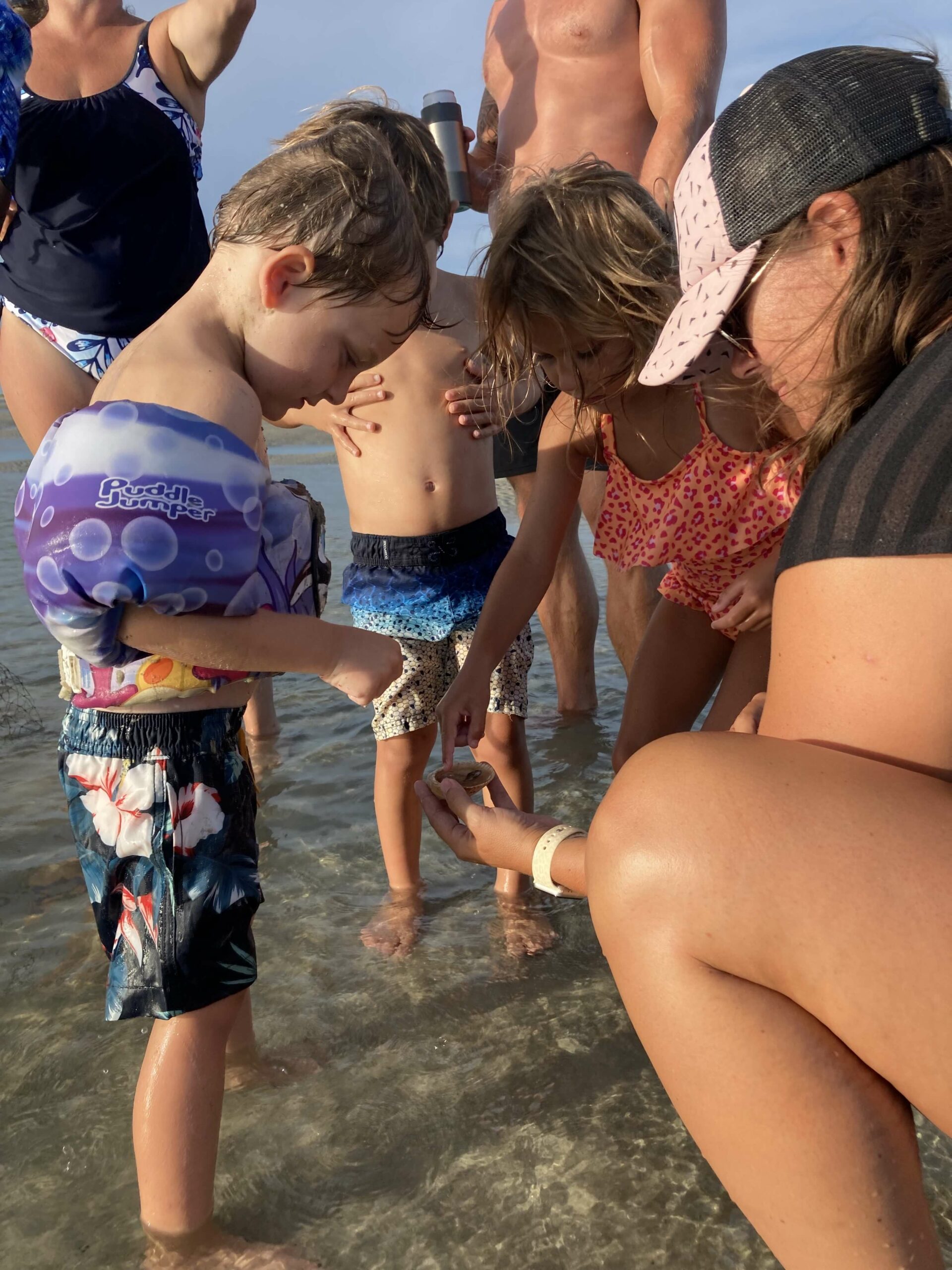 kids finding shells in water