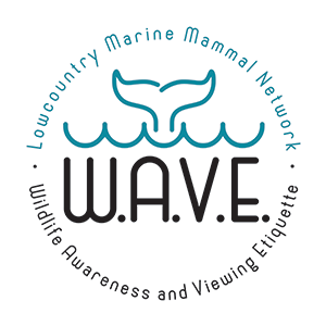 WAVE Logo Final Print
